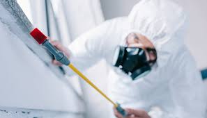 Best Pest Prevention Services  in Upper Grand Lagoon, FL